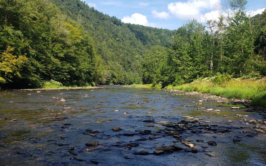 Peaceful river flowing under blue sky.