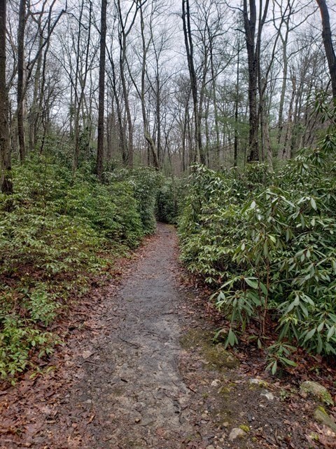 Appalachian Trail